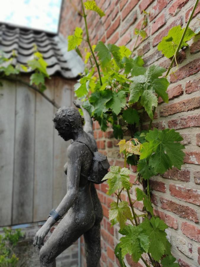 B&B Goed Ten Hulle Pittem Exterior photo